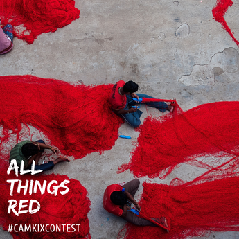 February CamKix Photo Contest: All Things Red
