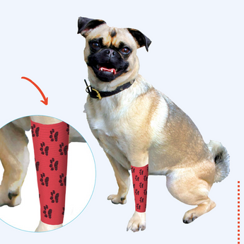 Fur-fect Reasons to Buy the Eco-Fused Self-Adhering Bandage for Dogs