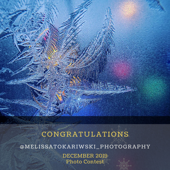 The Winner of the December Photo Contest Chooses a Set of Microfiber Cleaning Cloth