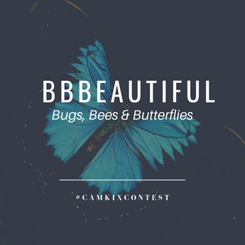 March CamKix Photo Contest: BBBeautiful (Bugs, Bees and Butterflies)